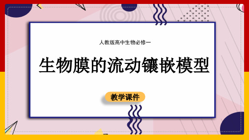 高中生物人教版必修一《4.2生物膜的流动镶嵌模型》课件(完美版)