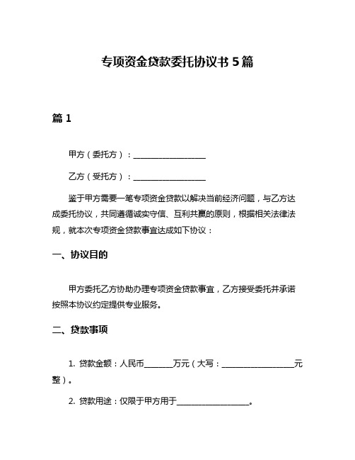 专项资金贷款委托协议书5篇