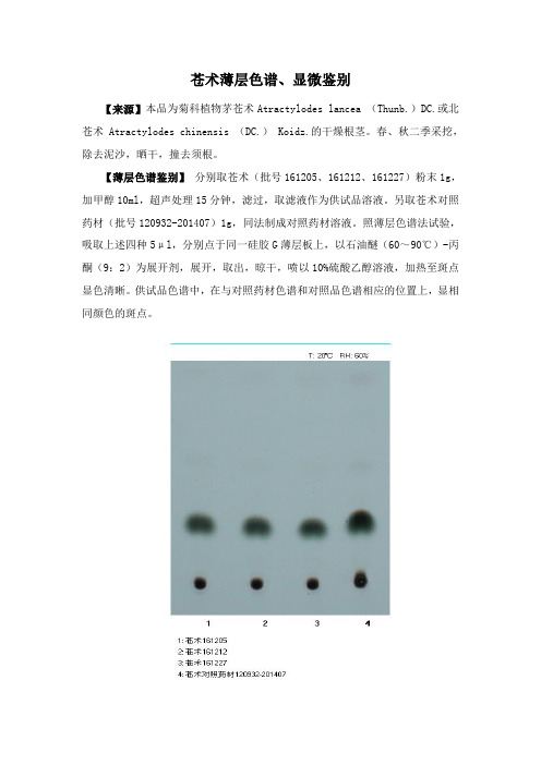 苍术薄层色谱、显微鉴别