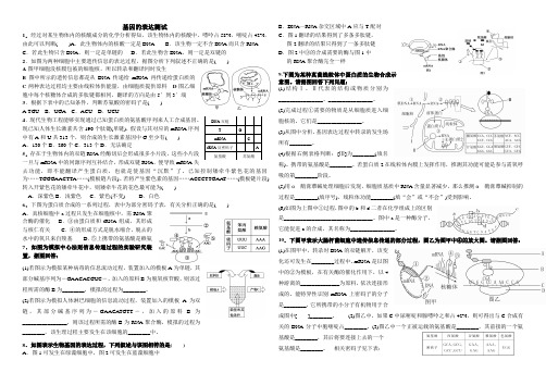 基因表达测试及答案