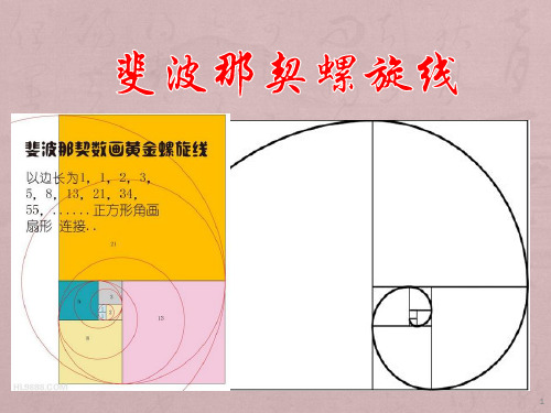 斐波那契螺旋线ppt课件