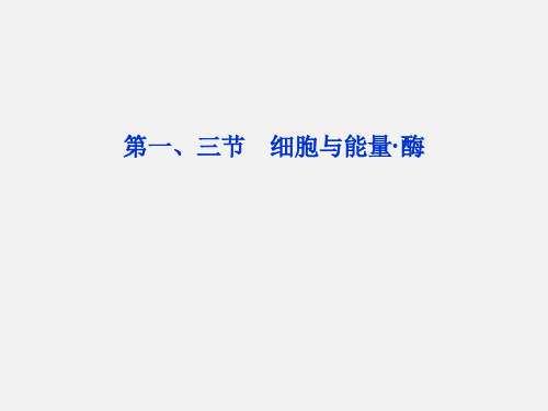 高考生物 总复习 第三章第一、三节细胞与能量 酶 浙科版必修1