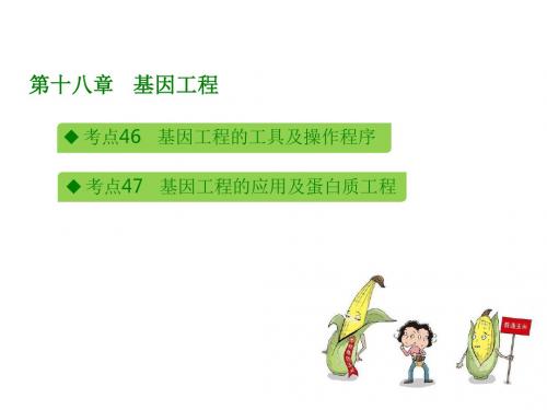 2018版高考生物(全国版)大一轮复习(应试基础必备 高考考法突破)课件第十八章 基因工程 (共39张PPT)