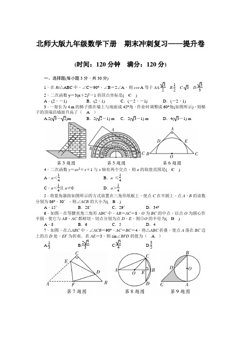 北师大版九年级数学下册  期末冲刺复习——提升卷(含答案)