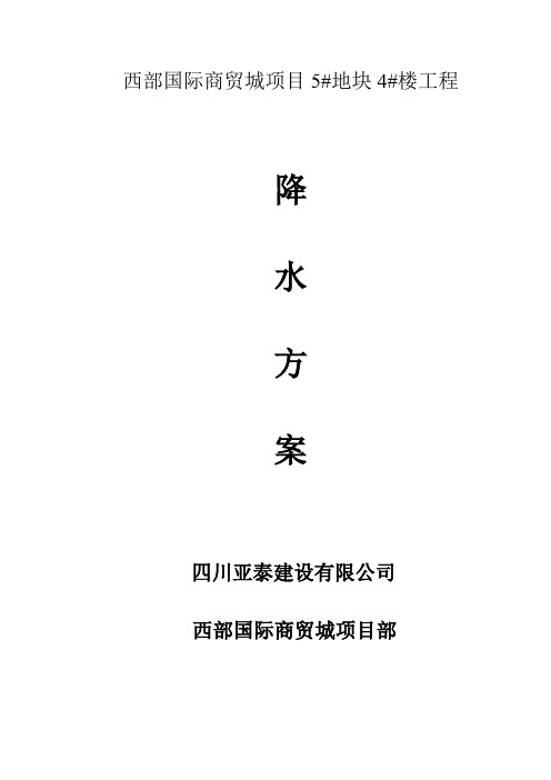 降水方案