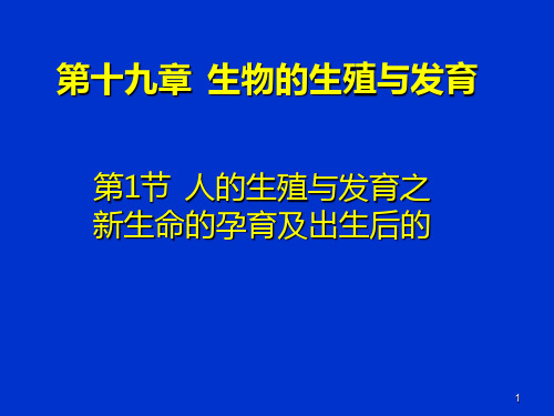 新生命的孕育-课件(1)