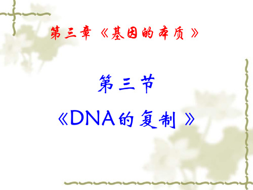 《DNA的复制》PPT课件