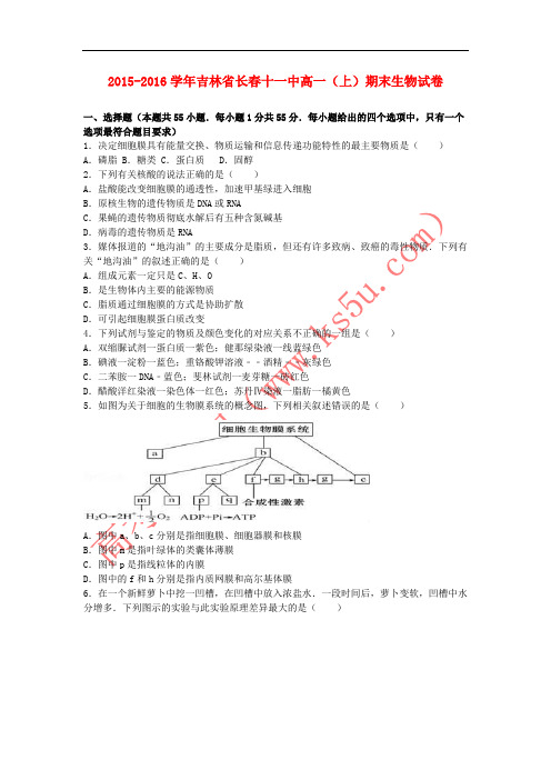 吉林省长春十一中2015-2016学年高一生物上学期期末试卷(含解析)