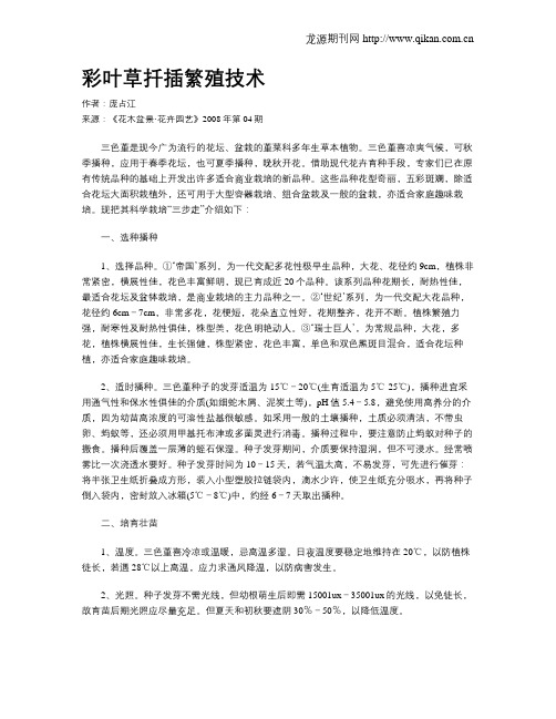彩叶草扦插繁殖技术