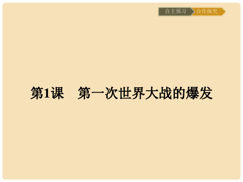 高中历史 20世纪的战争与和平 第一单元 第一次世界大