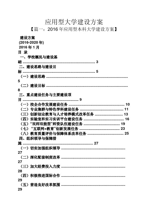 应用文之应用型大学建设方案