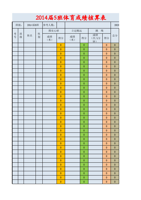 体考成绩计算表