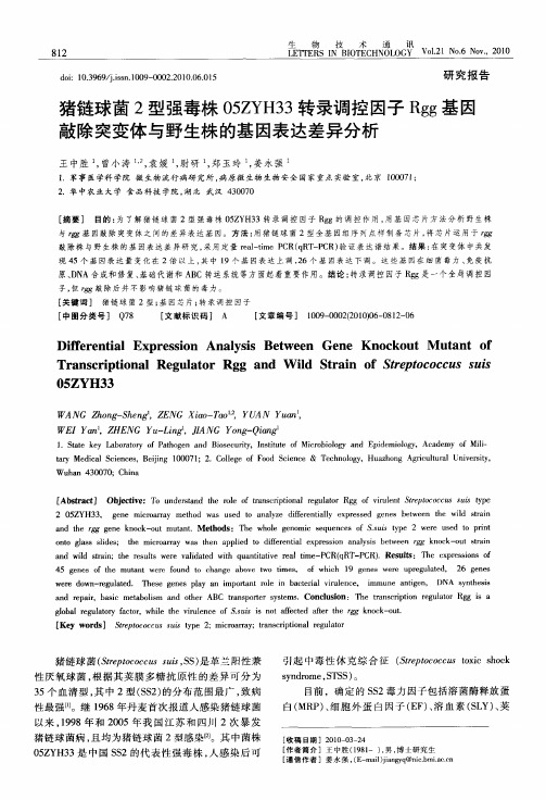 猪链球菌2型强毒株05ZYH33转录调控因子Rgg基因敲除突变体与野生株的基因表达差异分析