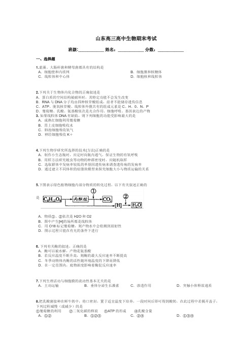 山东高三高中生物期末考试带答案解析
