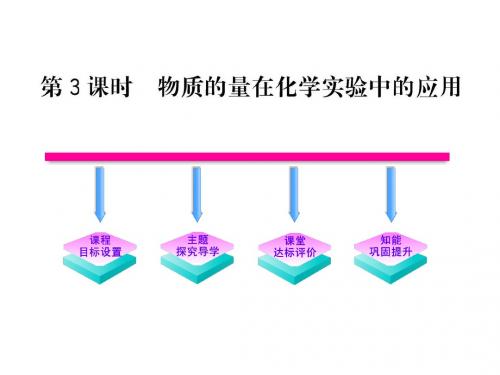 10-11高中化学课时讲练通课件：123化学计量在实验中的应用(人教版必修1)(共74张ppt)