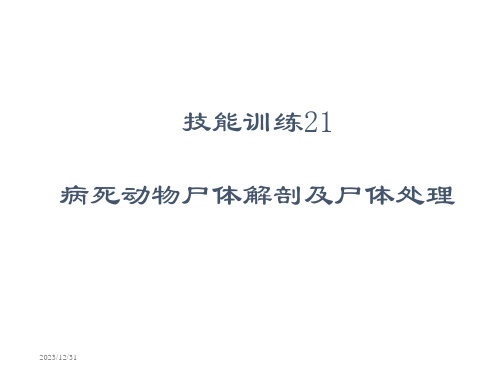 病死动物尸体解剖及尸体处理ppt课件