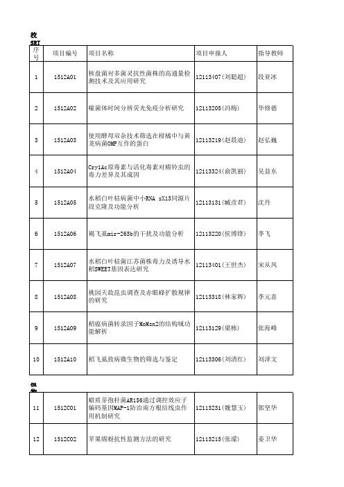 项目汇总表