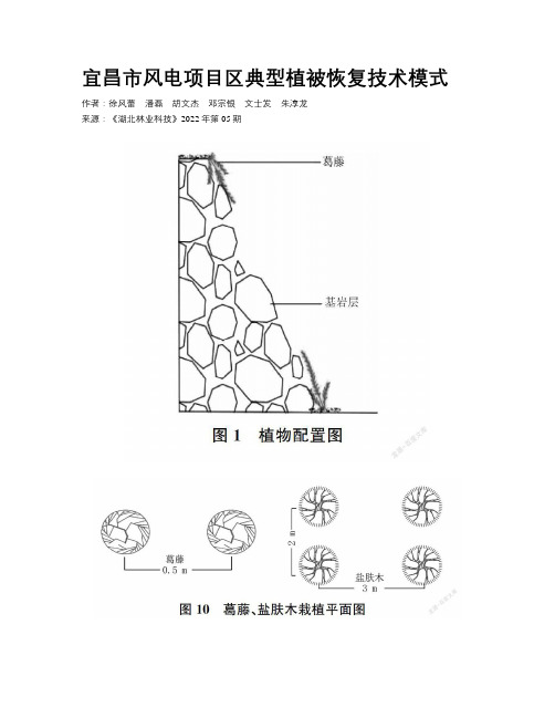 宜昌市风电项目区典型植被恢复技术模式