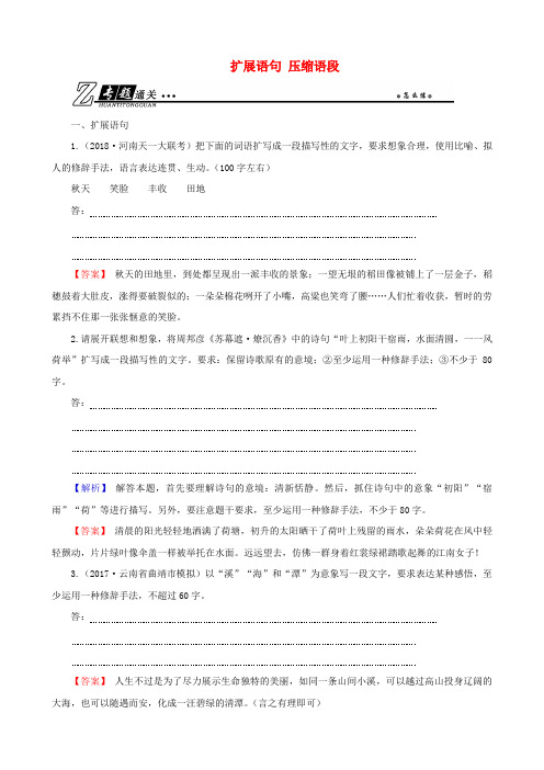 2019年高考语文总复习 第三部分 语言文字运用 专题五 扩展语句、压缩语段 考点2 扩展语句