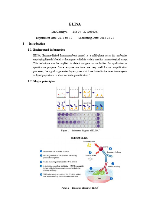 (仅供参考)ELISA(酶联免疫吸附测定)实验报告