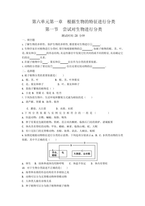 人教版生物八年级上册 6.1.1 尝试对生物进行分类 同步测试题