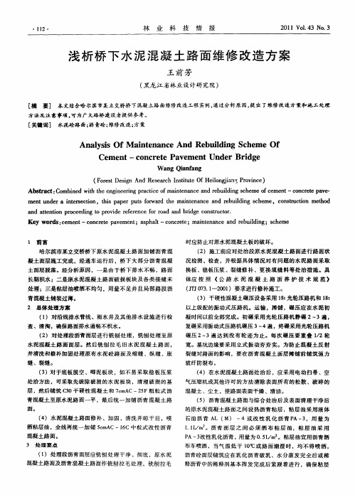 浅析桥下水泥混凝土路面维修改造方案