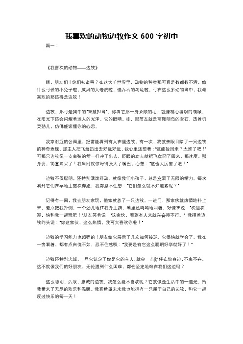 我喜欢的动物边牧作文600字初中