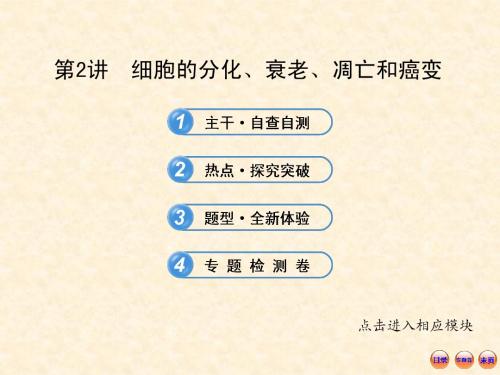 【精品】江苏2013年生物高考热点预测课件：3.2细胞的分化、衰老、凋亡和癌变