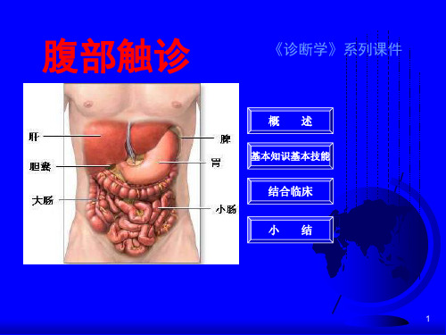 腹部触诊