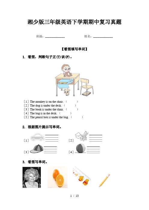 湘少版三年级英语下学期期中复习真题