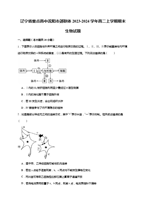 辽宁省重点高中沈阳市郊联体2023-2024学年高二上学期期末生物试题(word解析版)