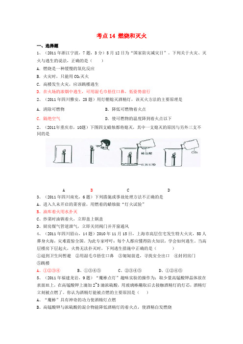 -中考化学真题按知识点分类考点14燃烧和灭火