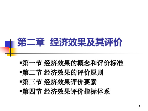 第二章 经济效果及其评价