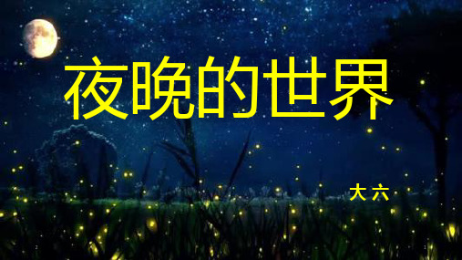 大班科学夜晚的世界(课堂PPT)