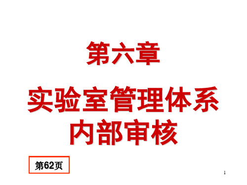 实验室管理体系内部审核PPT幻灯片