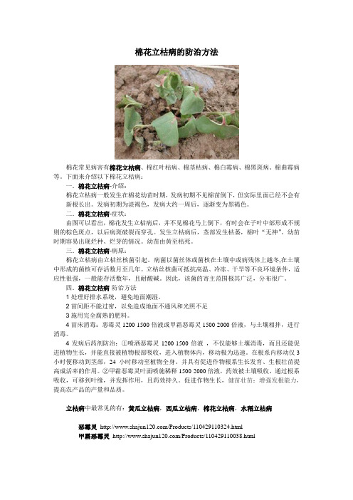 棉花立枯病的防治方法