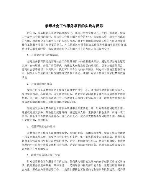 禁毒社会工作服务项目的实践与反思