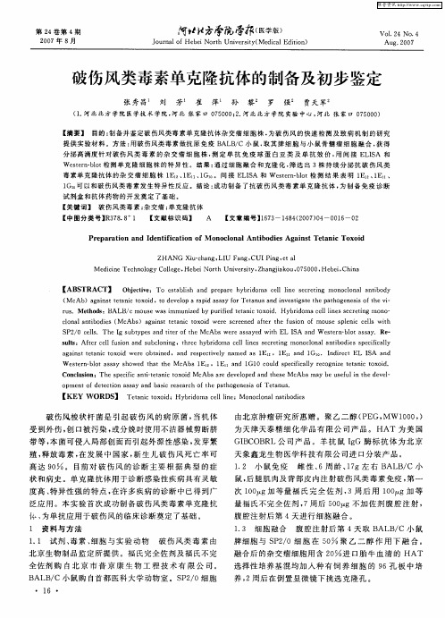 破伤风类毒素单克隆抗体的制备及初步鉴定