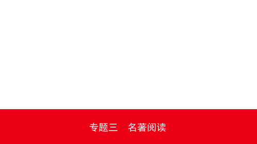 2020年安徽中考语文一轮复习练习03专题三名著阅读