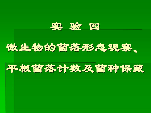 实验四-微生物的菌落形态观察、平板菌落计数及菌种保藏(张理珉)