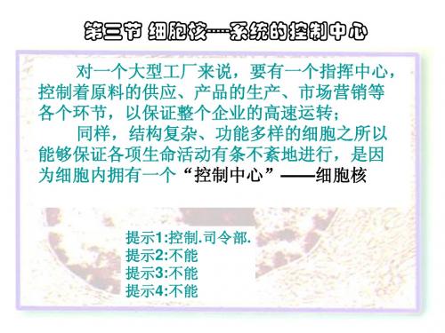 人教版教学课件云南省弥勒县庆来中学2011-2012学年高一生物 细胞核—系统的控制中心(课件)