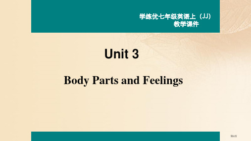 七年级英语上册 Unit 3 Body Parts and Feelings Lesson 13 B