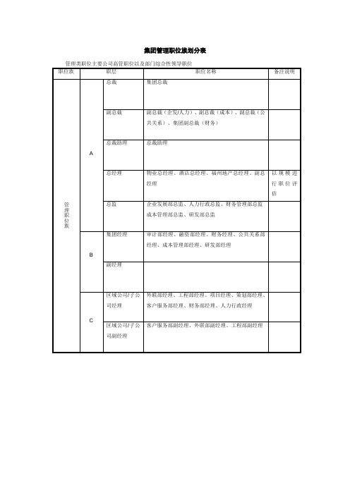 集团管理职位族划分表