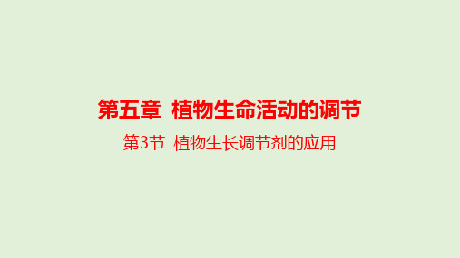 【课件】植物生长调节剂的应用课件2022-2023学年高二上学期生物人教版选择性必修1