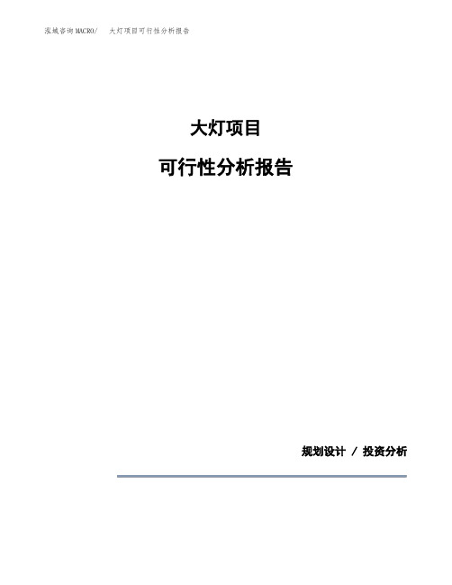 大灯项目可行性分析报告(模板参考范文)