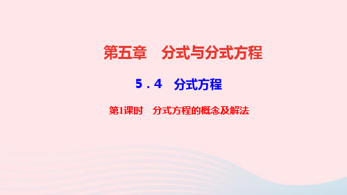数学八年级下册第五章4分式方程第1课时分式方程的概念及解法作业课件 北师大版