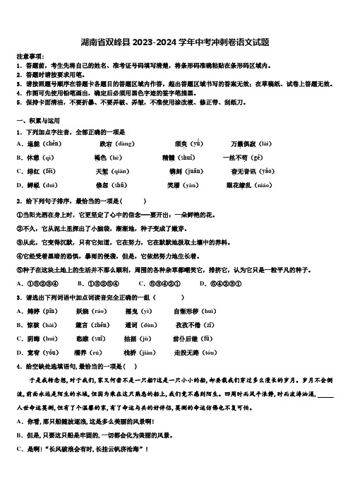 湖南省双峰县2023-2024学年中考冲刺卷语文试题含解析