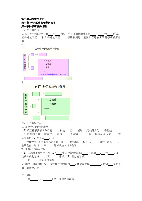 第三单元第一章种子的萌发和芽的发育知识点2021-2022学年冀少版生物八年级上册