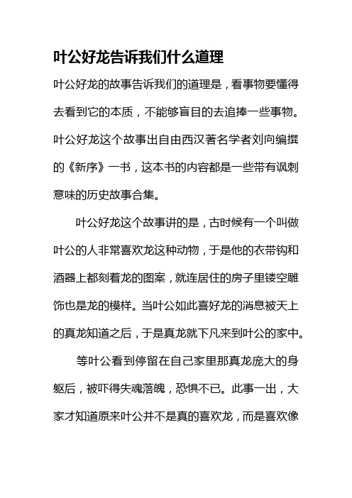 叶公好龙告诉我们什么道理