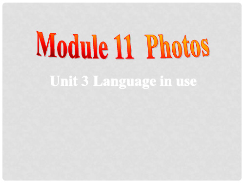 九年级英语上册 Module 11 Photos Unit 3 Language in use课件 (新版)外研版